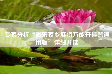 专家分析“微乐家乡麻将万能开挂器通用版”详细开挂