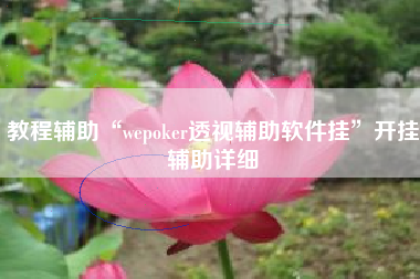 教程辅助“wepoker透视辅助软件挂”开挂辅助详细