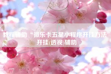 教程辅助“微乐卡五星小程序开挂方法”开挂(透视)辅助