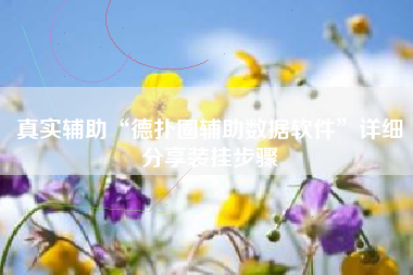 真实辅助“德扑圈辅助数据软件”详细分享装挂步骤