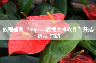 教程辅助“HHpoker透视底牌软件	”开挂(透视)辅助
