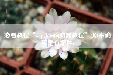 必看教程“wepoker辅助器教程”(原来确实是有插件)