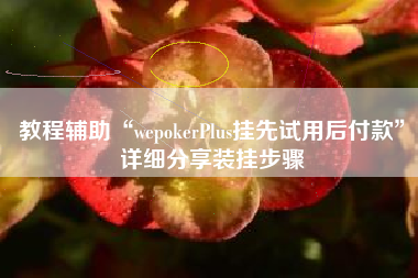 教程辅助“wepokerPlus挂先试用后付款”详细分享装挂步骤