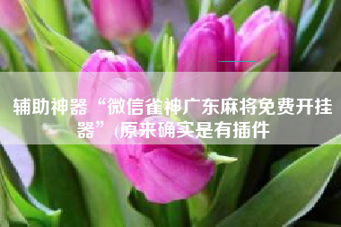 辅助神器“微信雀神广东麻将免费开挂器	”(原来确实是有插件