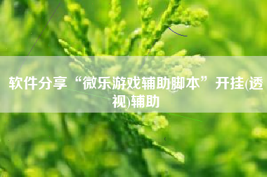 软件分享“微乐游戏辅助脚本”开挂(透视)辅助