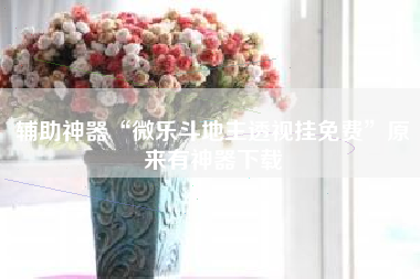 辅助神器“微乐斗地主透视挂免费	”原来有神器下载