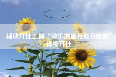辅助开挂工具“微乐掼蛋万能开挂器	”详细开挂