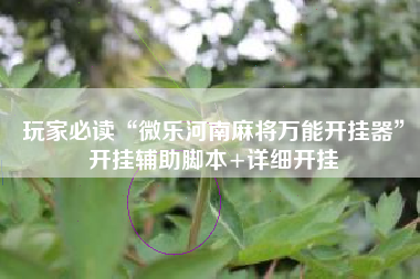 玩家必读“微乐河南麻将万能开挂器”开挂辅助脚本+详细开挂