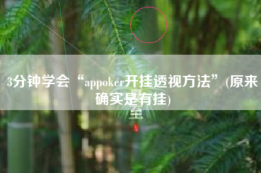 3分钟学会“appoker开挂透视方法”(原来确实是有挂)