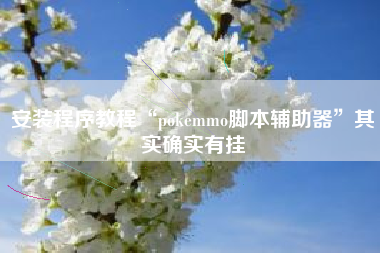安装程序教程“pokemmo脚本辅助器”其实确实有挂