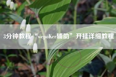 3分钟教程“wepoKer辅助	”开挂详细教程
