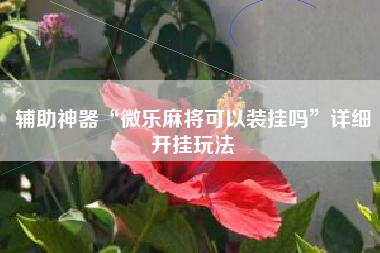 辅助神器“微乐麻将可以装挂吗”详细开挂玩法