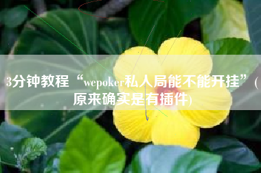 3分钟教程“wepoker私人局能不能开挂”(原来确实是有插件)