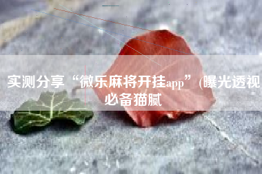 实测分享“微乐麻将开挂app	”(曝光透视必备猫腻