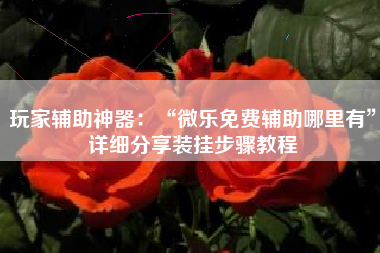 玩家辅助神器：“微乐免费辅助哪里有”详细分享装挂步骤教程