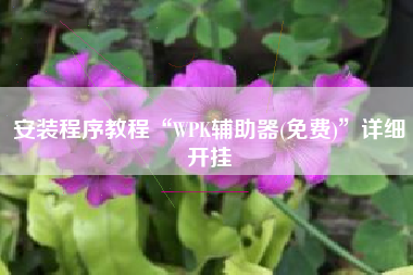 安装程序教程“WPK辅助器(免费)”详细开挂