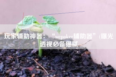 玩家辅助神器：“wepoker辅助器”(曝光透视必备猫腻