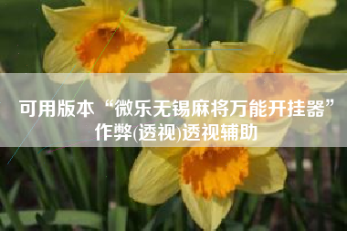 可用版本“微乐无锡麻将万能开挂器”作弊(透视)透视辅助