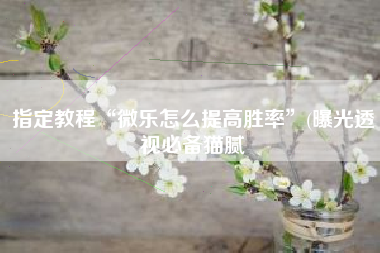 指定教程“微乐怎么提高胜率	”(曝光透视必备猫腻