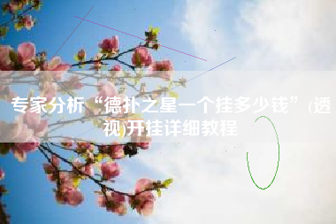 专家分析“德扑之星一个挂多少钱”(透视)开挂详细教程