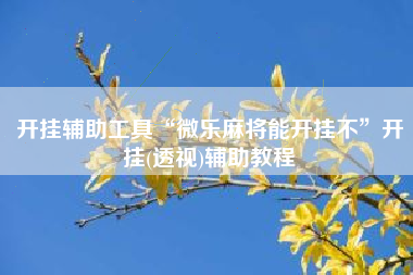 开挂辅助工具“微乐麻将能开挂不”开挂(透视)辅助教程