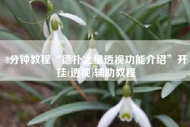 3分钟教程“德扑之星透视功能介绍	”开挂(透视)辅助教程