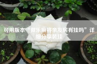 可用版本“微乐麻将亲友房有挂吗	”详细分享装挂