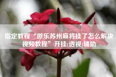 指定教程“微乐苏州麻将挂了怎么解决视频教程	”开挂(透视)辅助