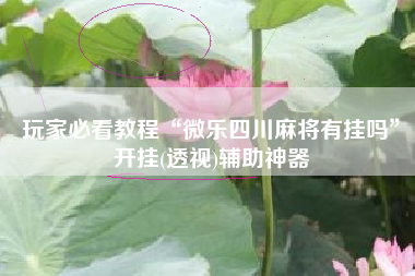 玩家必看教程“微乐四川麻将有挂吗”开挂(透视)辅助神器