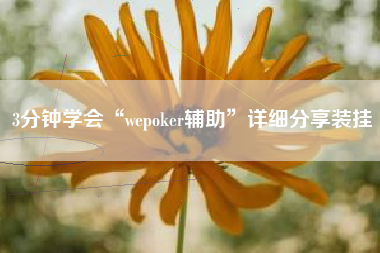3分钟学会“wepoker辅助	”详细分享装挂