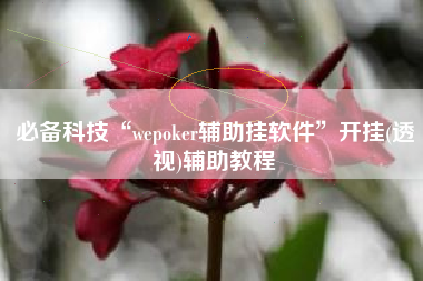 必备科技“wepoker辅助挂软件	”开挂(透视)辅助教程