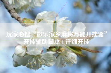 玩家必搜“微乐家乡麻将万能开挂器	”开挂辅助脚本+详细开挂