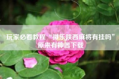 玩家必看教程“微乐陕西麻将有挂吗	”原来有神器下载