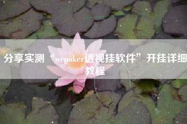 分享实测“wepoker透视挂软件”开挂详细教程