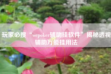 玩家必搜“wepoker辅助挂软件”揭秘透视辅助万能挂用法