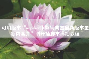 可用版本“wepoker作弊辅助器最新版本更新内容介”附开挂脚本详细教程