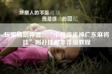 玩家辅助神器：“小程序雀神广东麻将挂”附开挂脚本详细教程