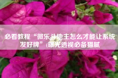 必看教程“微乐斗地主怎么才能让系统发好牌”(曝光透视必备猫腻