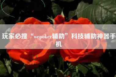 玩家必搜“wepoker辅助”科技辅助神器手机