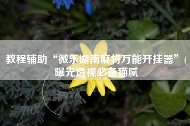 教程辅助“微乐湖南麻将万能开挂器”(曝光透视必备猫腻