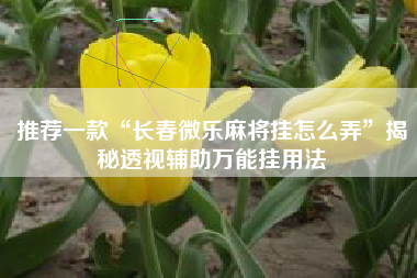 推荐一款“长春微乐麻将挂怎么弄”揭秘透视辅助万能挂用法