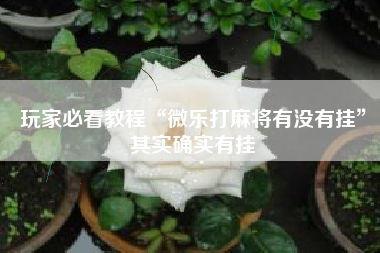 玩家必看教程“微乐打麻将有没有挂	”其实确实有挂