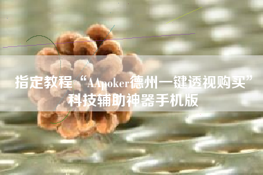 指定教程“AApoker德州一键透视购买”科技辅助神器手机版