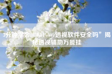 3分钟学会“WePoker透视软件安全吗	”揭秘透视辅助万能挂