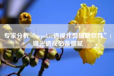 专家分析“wepoker透视作弊辅助软件	”(曝光透视必备猫腻