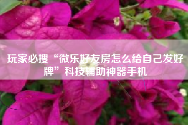 玩家必搜“微乐好友房怎么给自己发好牌	”科技辅助神器手机