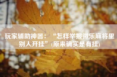 玩家辅助神器：“怎样举报微乐麻将里别人开挂”(原来确实是有挂)