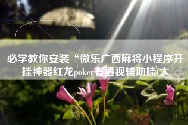 必学教你安装“微乐广西麻将小程序开挂神器红龙poker有透视辅助挂(太