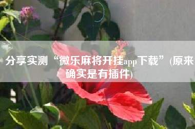 分享实测“微乐麻将开挂app下载”(原来确实是有插件)