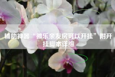 辅助神器“微乐亲友房可以开挂”附开挂脚本详细